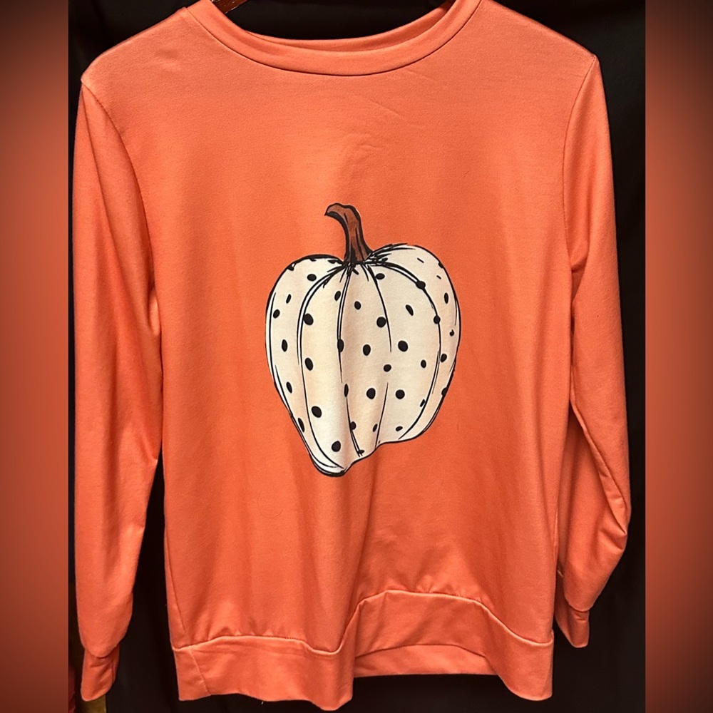 Pumpkin pullover shirt. Brand new